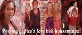 Posting_Spice_s_fave_bb8_housemates!_banner_sample.jpg